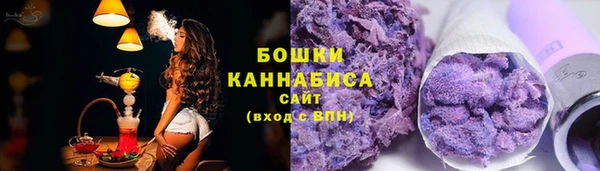 дмт Нягань