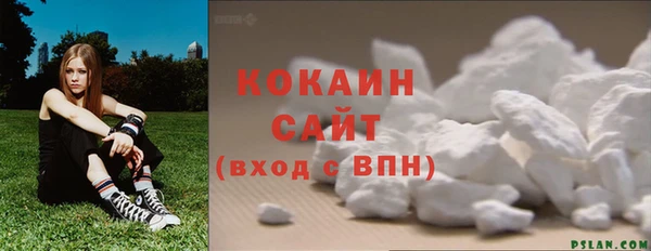 ALPHA PVP Осинники