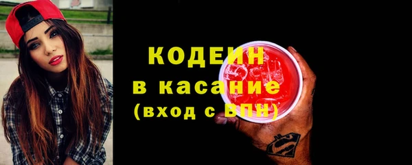 эйфоретик Няндома