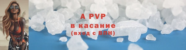 эйфоретик Няндома