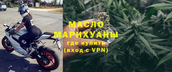 эйфоретик Няндома