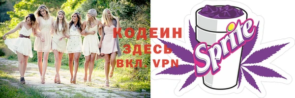 эйфоретик Няндома