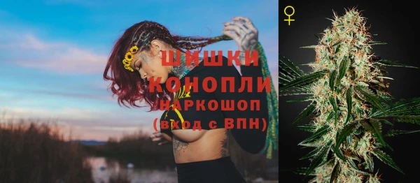 дмт Нягань