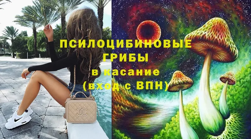 Псилоцибиновые грибы Cubensis  купить закладку  omg ТОР  Ковылкино 